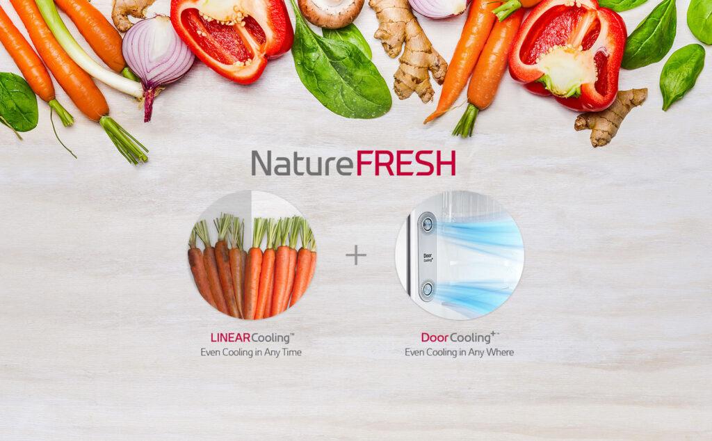 LG 272/254-litre Refrigerator GN-B272SQCB