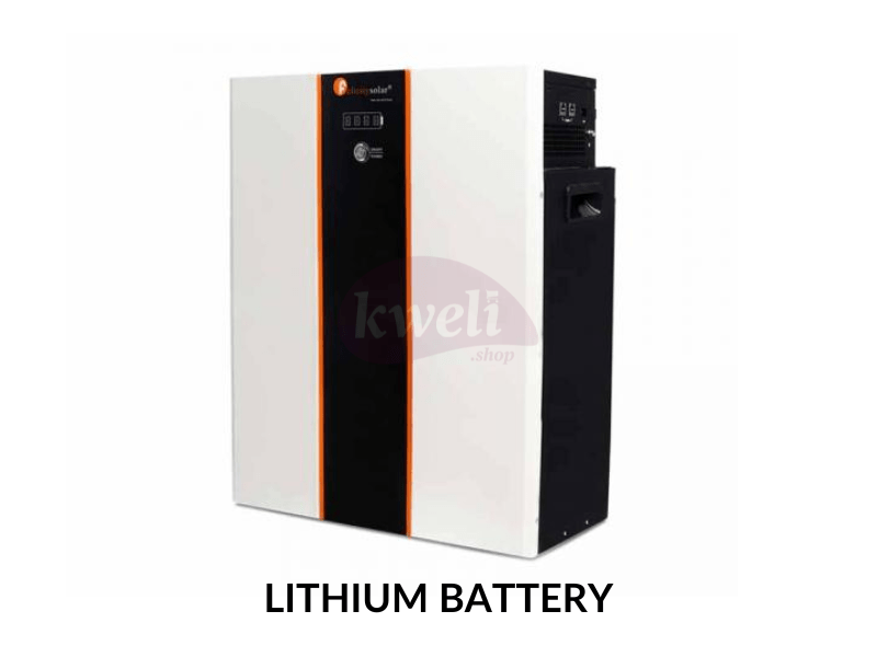 Felicity 150AH 48V Lithium Battery LPBF48150; 7.5kWh, Fast Charging, Long Lifespan, Made in China - Felicity 150AH 48V Lithium Battery LPBF48150; 7.5kWh, Fast Charging, Long Lifespan, Made in China - Image 2