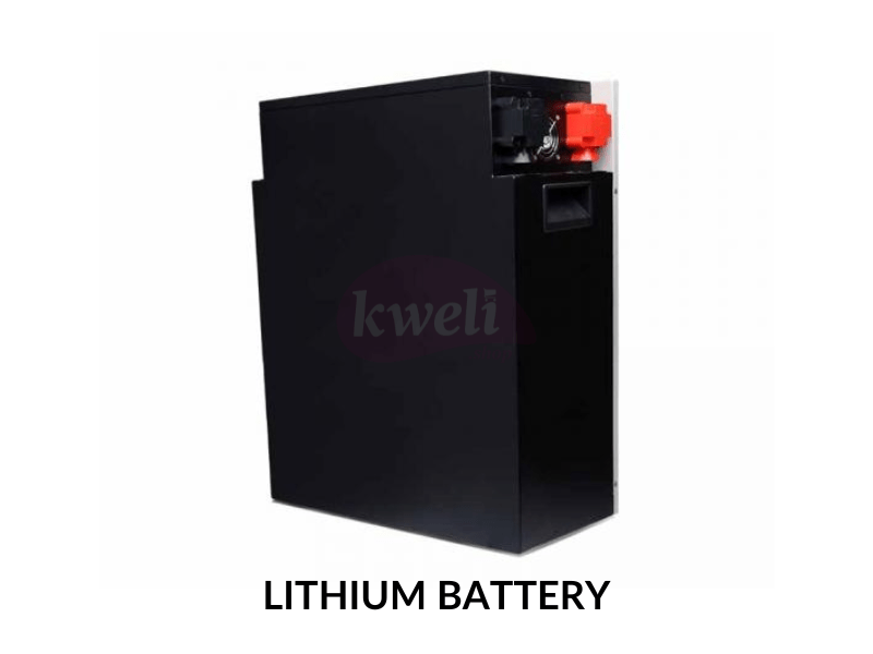 Felicity 150AH 48V Lithium Battery LPBF48150; 7.5kWh, Fast Charging, Long Lifespan, Made in China - Felicity 150AH 48V Lithium Battery LPBF48150; 7.5kWh, Fast Charging, Long Lifespan, Made in China - Image 3