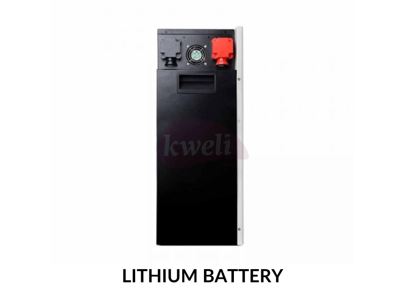 Felicity 150AH 48V Lithium Battery LPBF48150; 7.5kWh, Fast Charging, Long Lifespan, Made in China - Felicity 150AH 48V Lithium Battery LPBF48150; 7.5kWh, Fast Charging, Long Lifespan, Made in China - Image 4