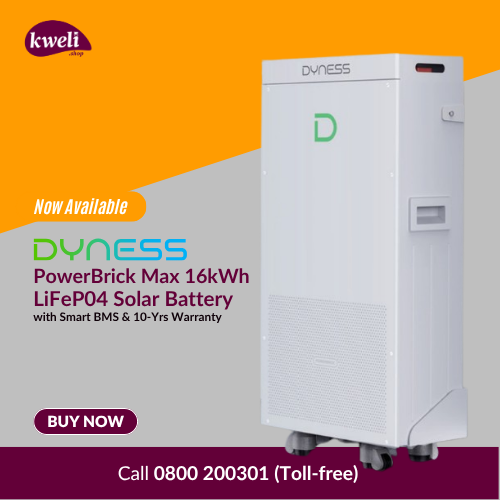 Desktop Dyness PowerBrick -